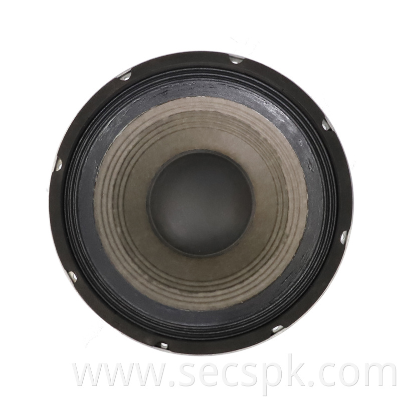 8ohm Party Speaker